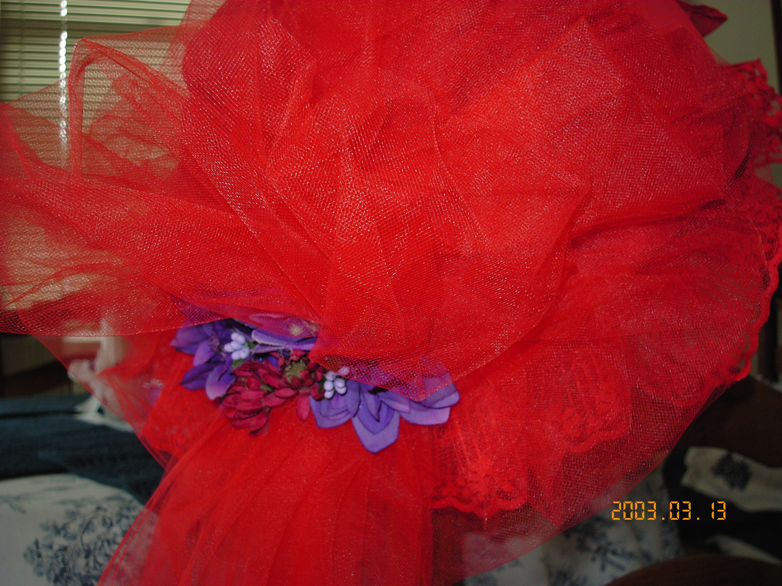 ruffledlongveilredhat.jpg